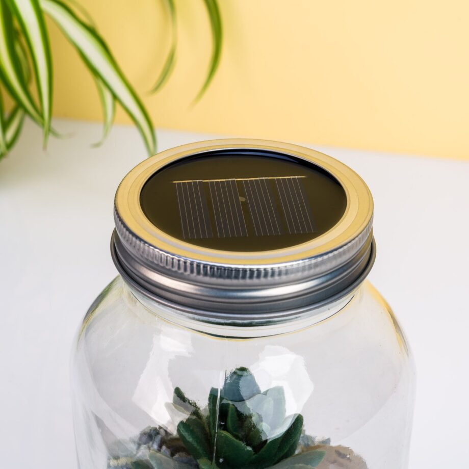 Lichtgevend terrarium