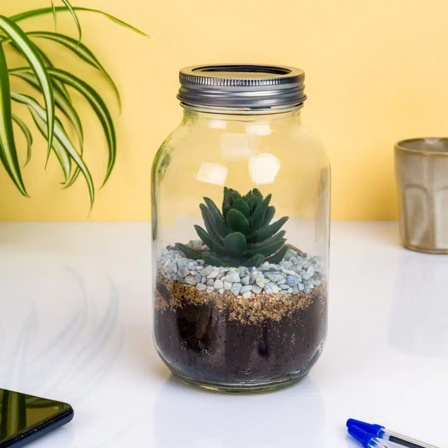 Lichtgevend terrarium