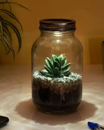 Lichtgevend terrarium