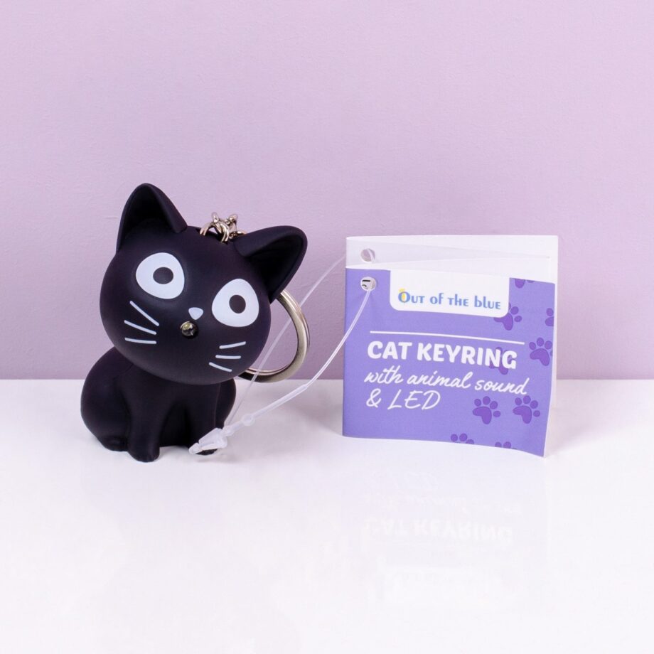 Kat sleutelhanger