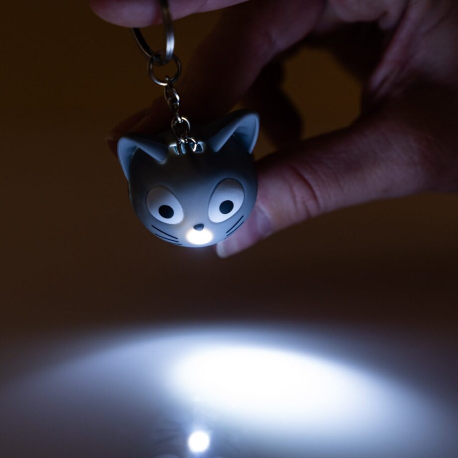 Kat sleutelhanger