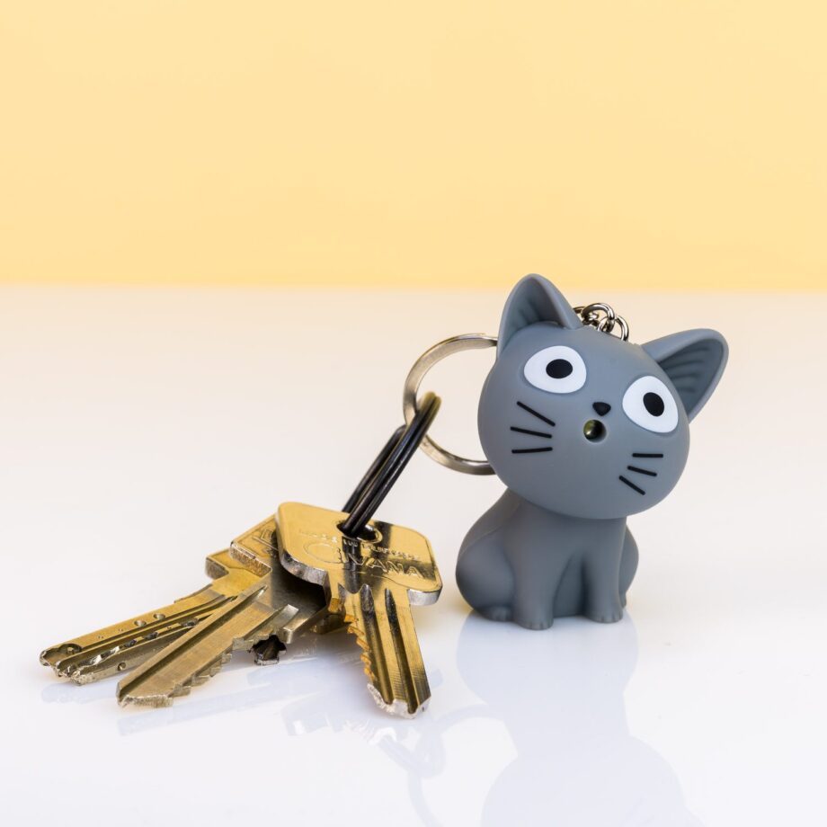 Kat sleutelhanger