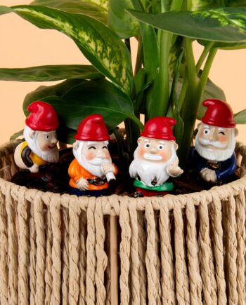 Stoute bloempot kabouters (set van 4)