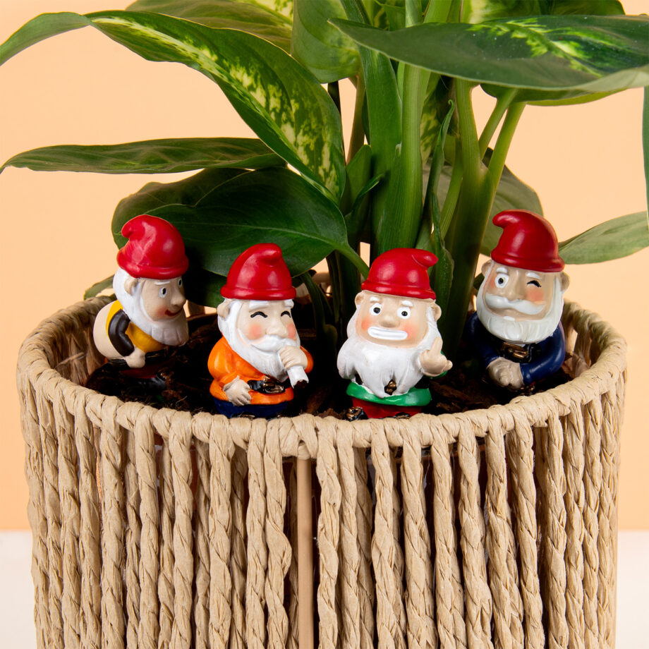 Stoute bloempot kabouters (set van 4)