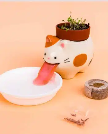Kat bloempotje met aardbeienplantje
