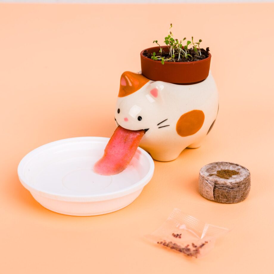 Kat bloempotje met aardbeienplantje