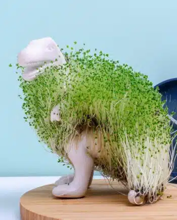 Dino bloempot met zaadjes