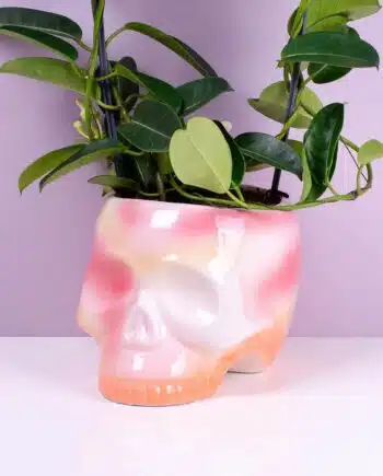 Schedel bloempot