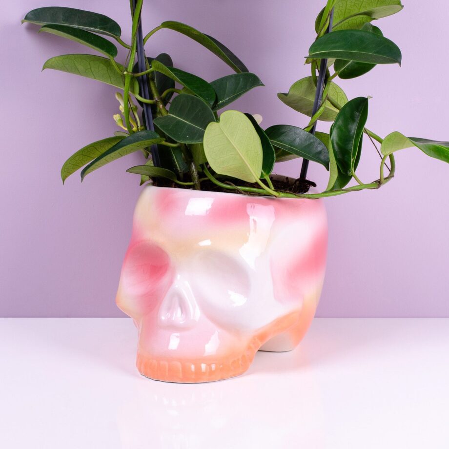 Schedel bloempot