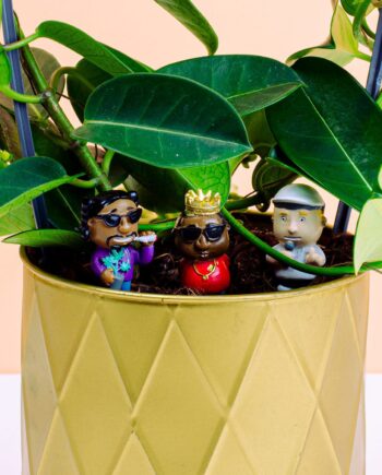 Bloempot rappers (set van 4)