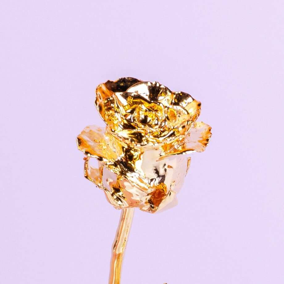 24 karaat gouden roos