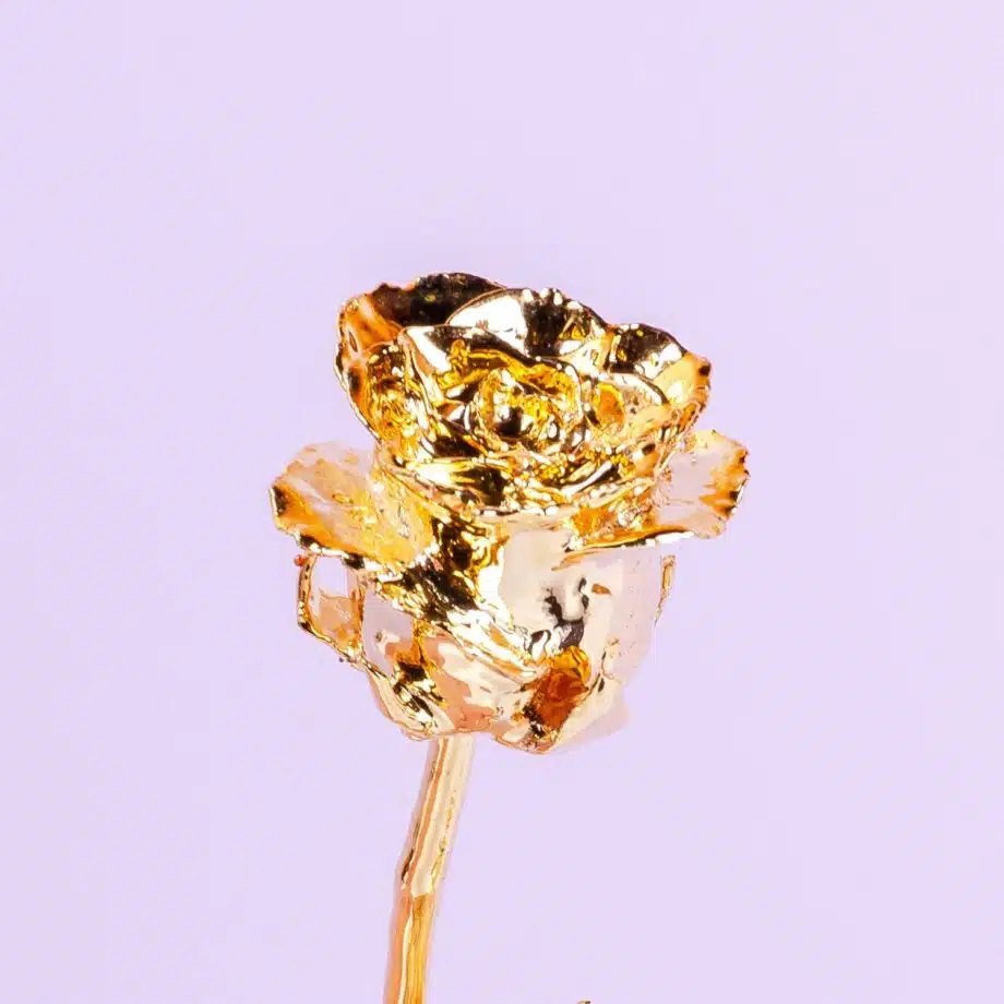 24 karaat gouden roos