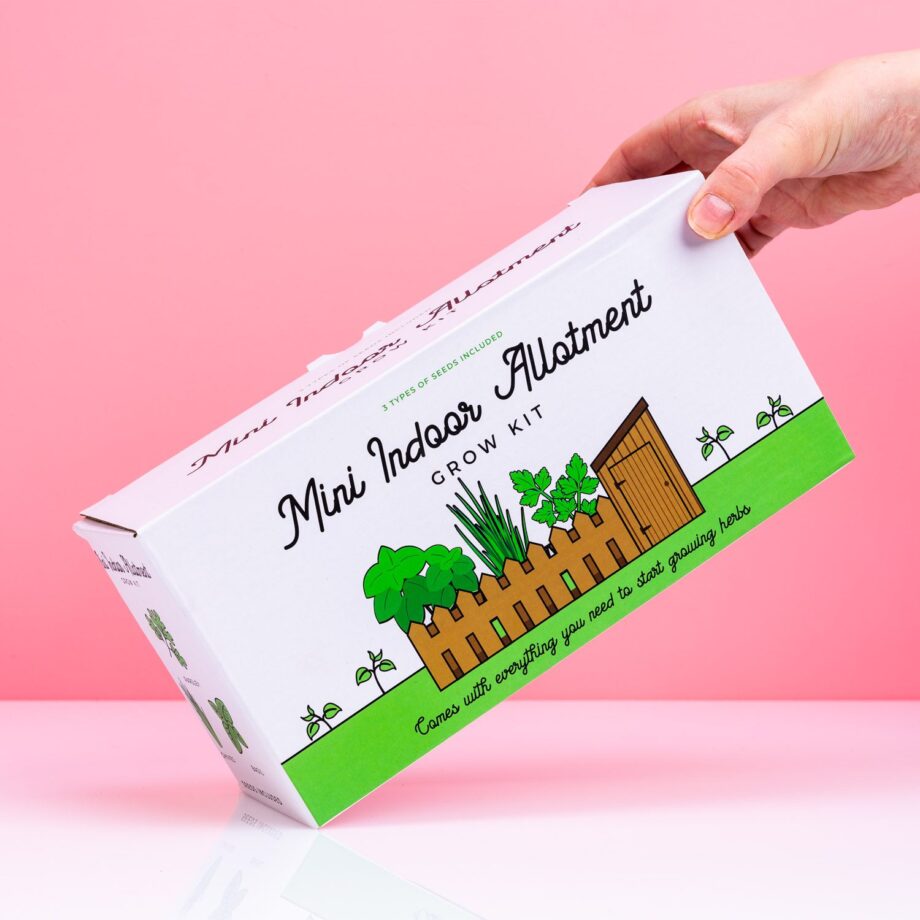 Kruidentuintje voor in huis