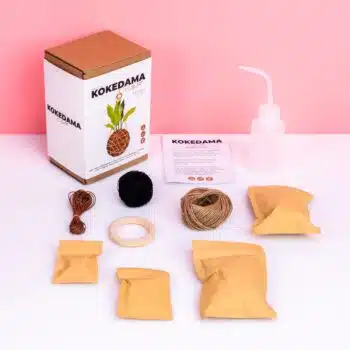 DIY Kokedama set