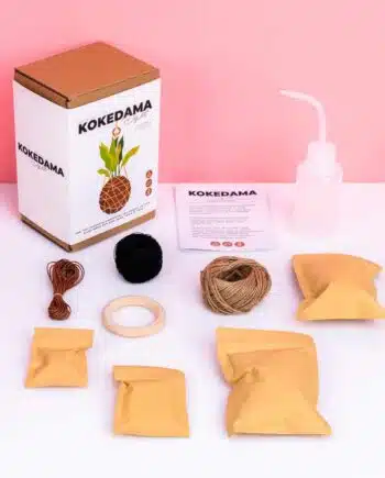 DIY Kokedama set