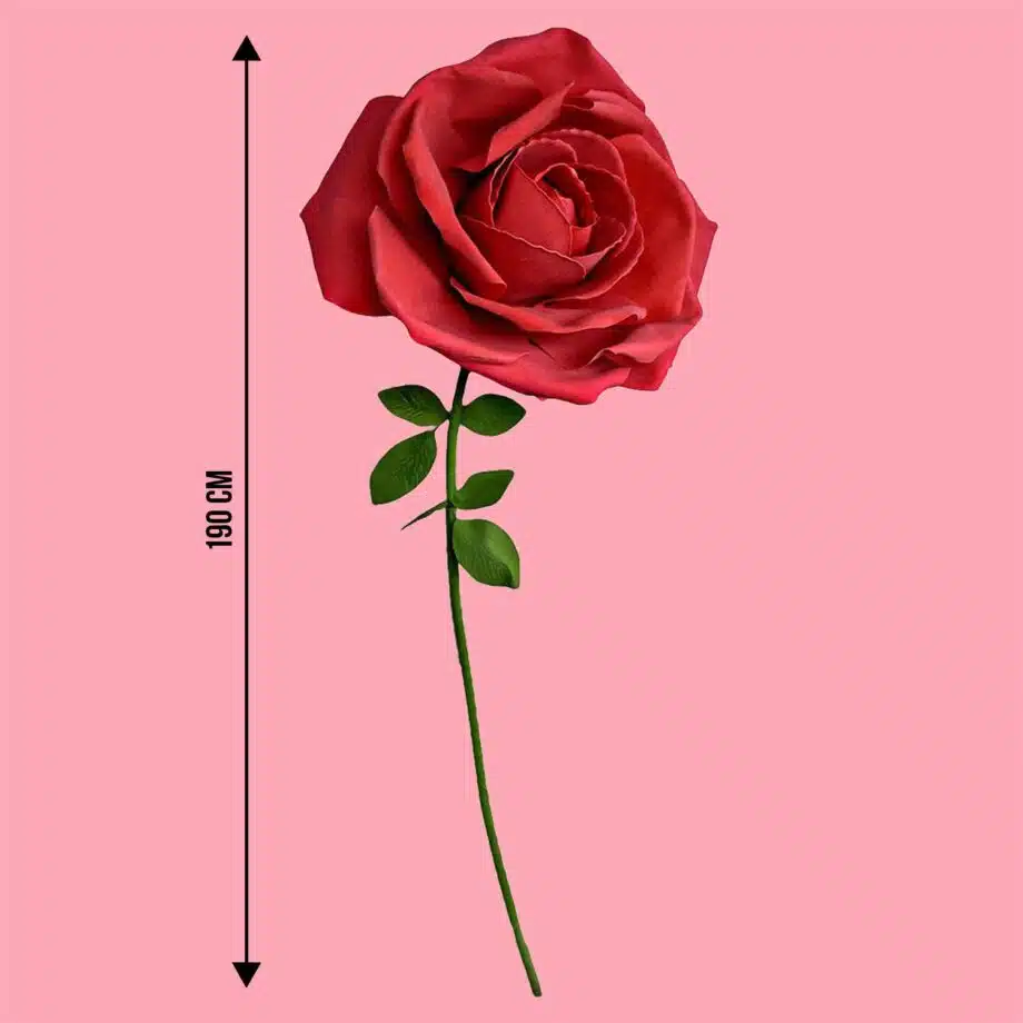 XXL roos (1,9 meter)