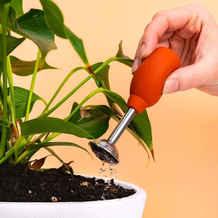 Planten verzorgingskit