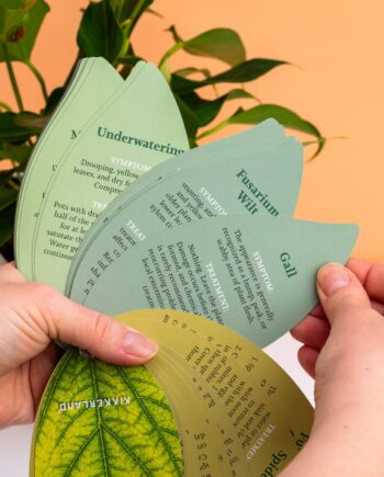 Gezonde planten handboek