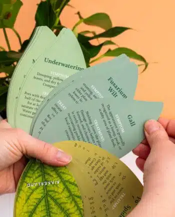 Gezonde planten handboek