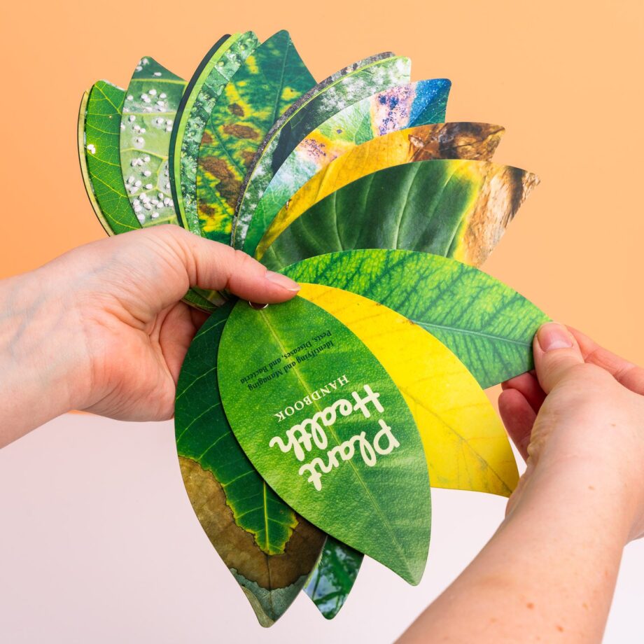 Gezonde planten handboek