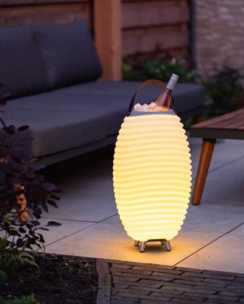 Synergy 50 lamp en speaker