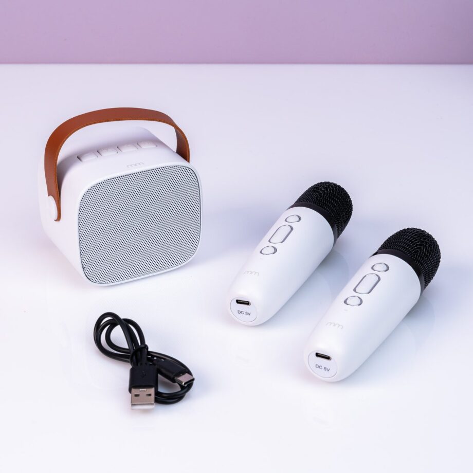 Karaoke 2 Go set