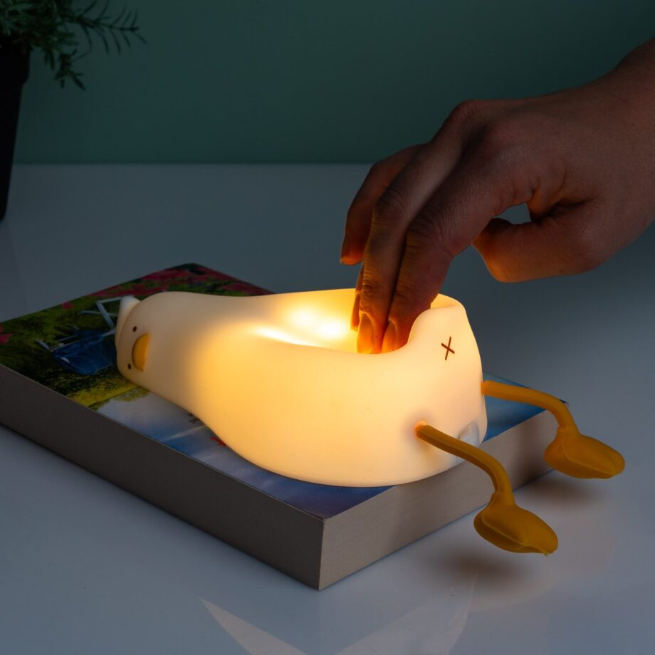 Slapend eendje nachtlampje