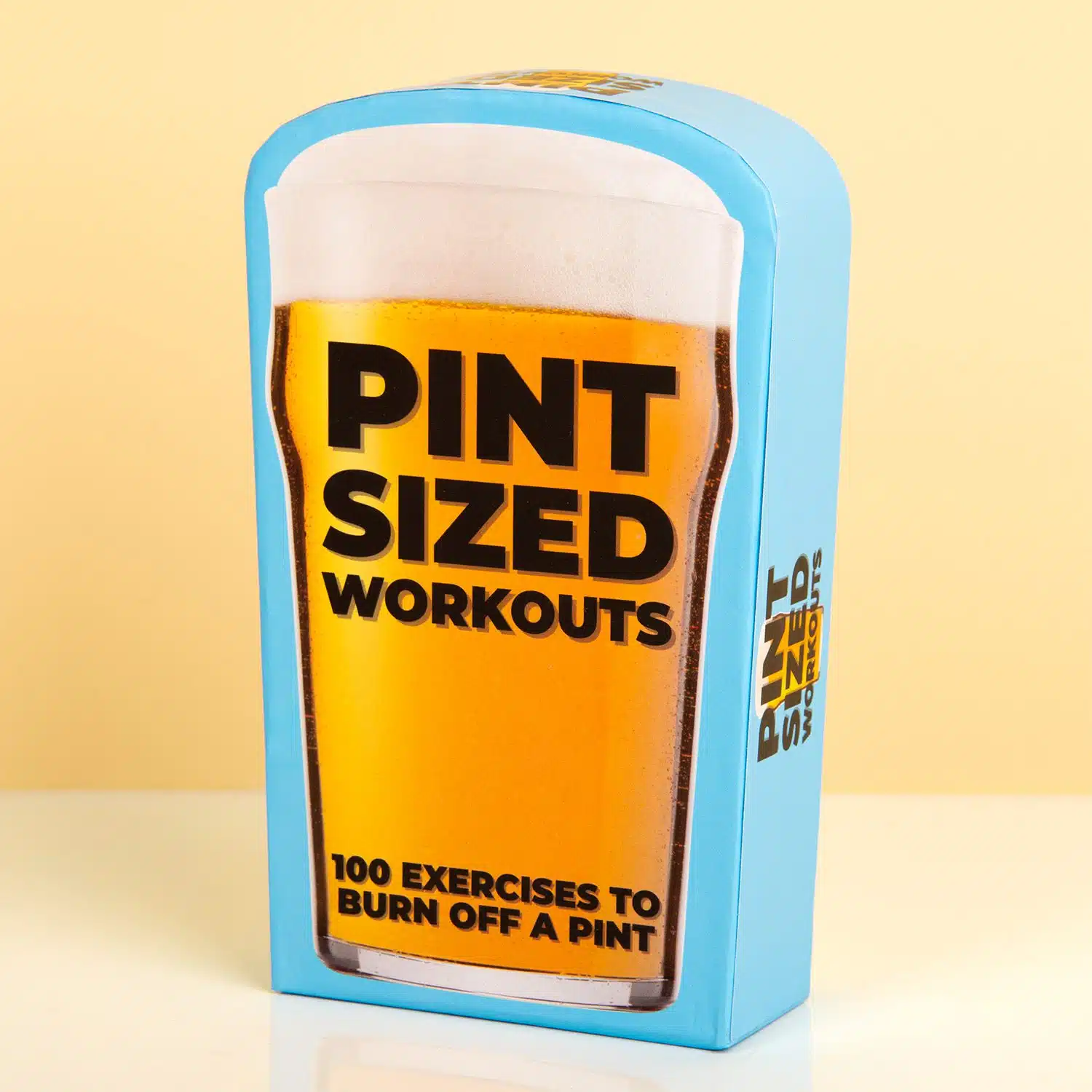 Pint sized workouts (100 oefeningen)