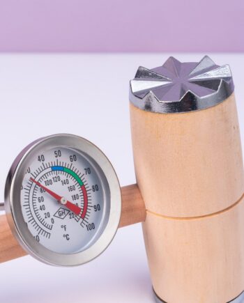 BBQ hamer en thermometer
