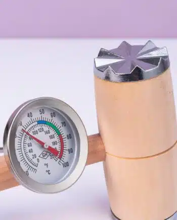 BBQ hamer en thermometer