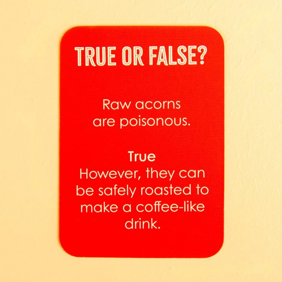 True or False in een blikje