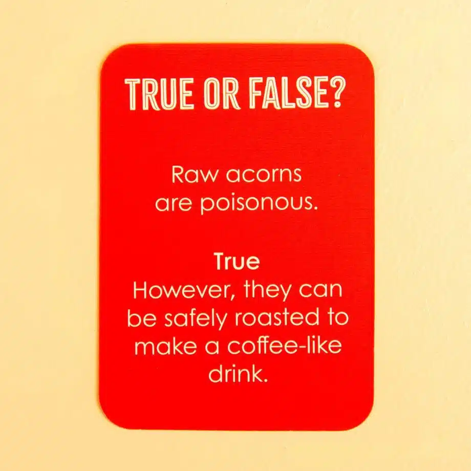 True or False in een blikje