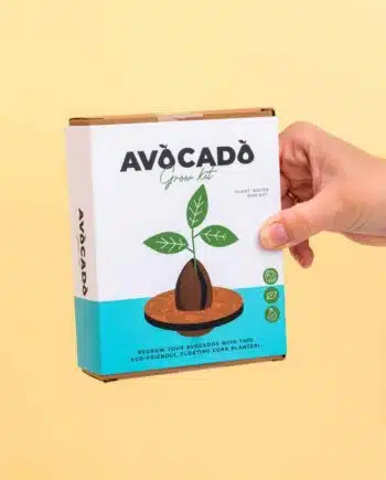 Kurken ontkiemset voor avocado's