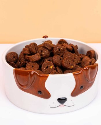 Honden voerbak met hondengezicht