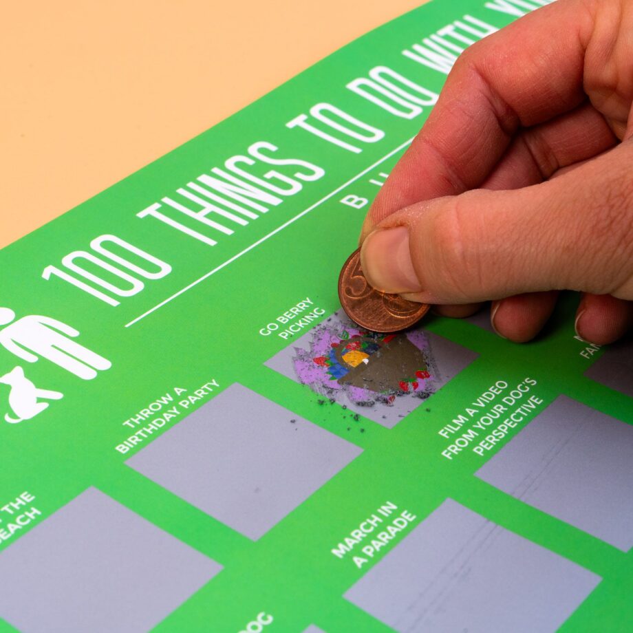 100 Things to do with your dog krasposter
