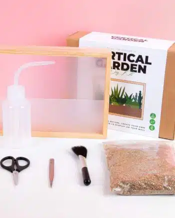 Mini DIY muurtuintje