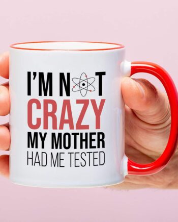 Mok The Big Bang Theory I'm Not Crazy