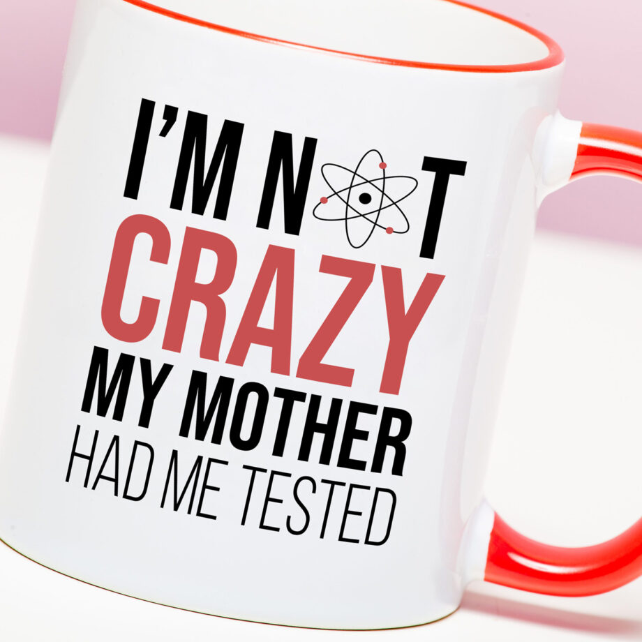 Mok The Big Bang Theory I'm Not Crazy
