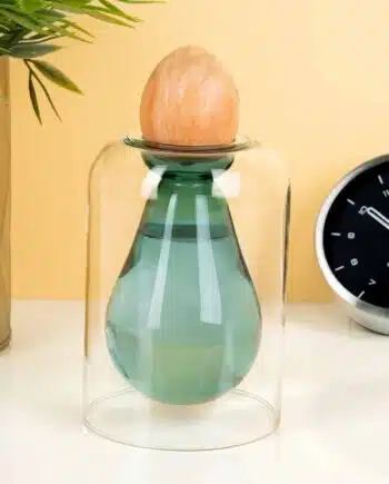 Avocado ontkiemvaas