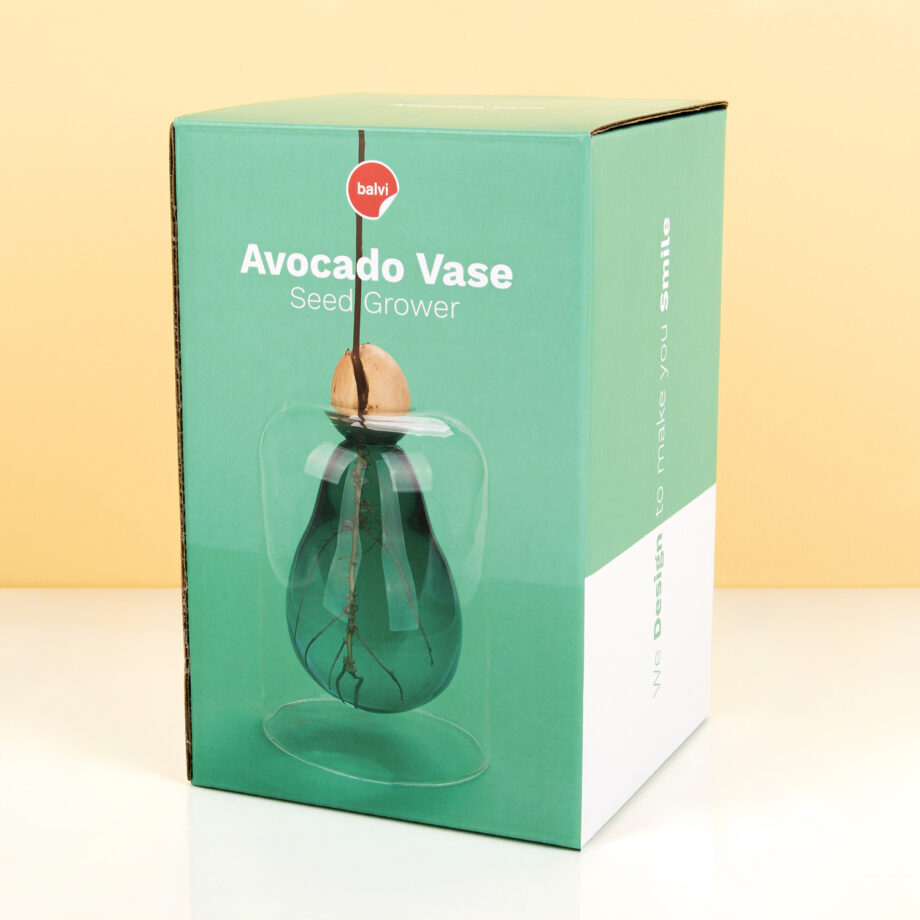 Avocado ontkiemvaas
