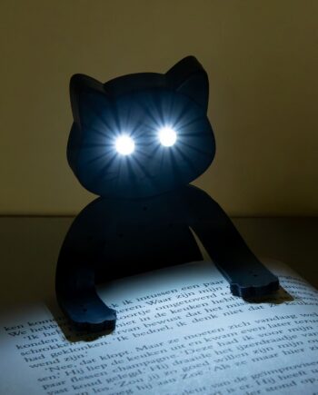 Poes leeslamp