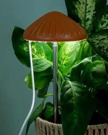 Paddenstoel plantenlamp