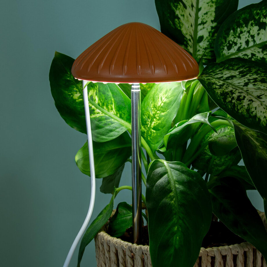 Paddenstoel plantenlamp