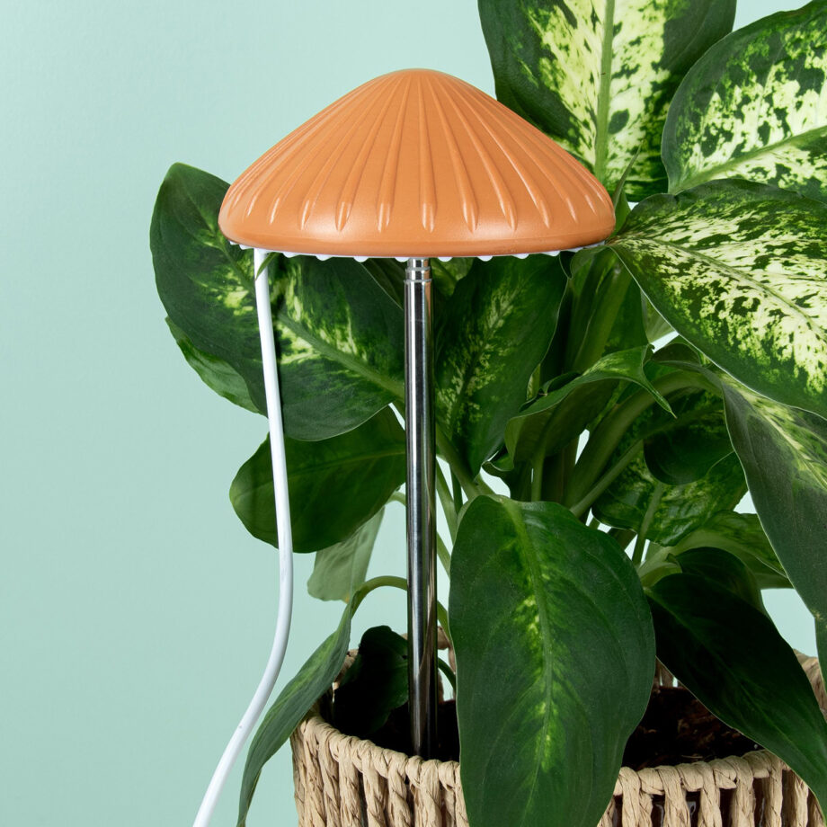 Paddenstoel plantenlamp