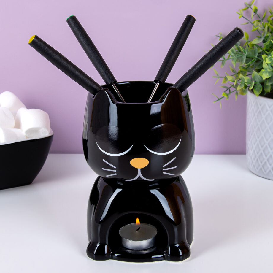 Warmtegevoelige kat fondueset
