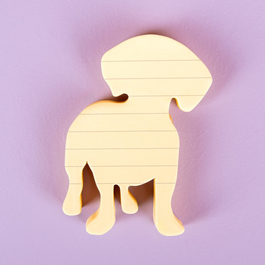 Huisdier sticky notes (set van 3)