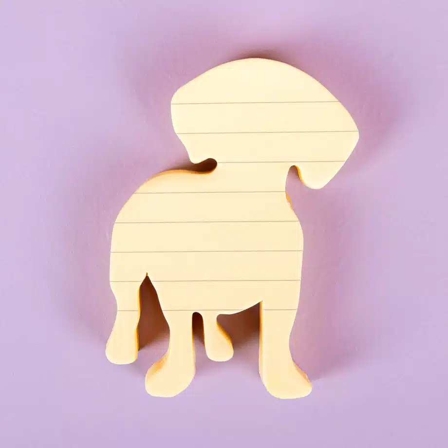 Huisdier sticky notes (set van 3)