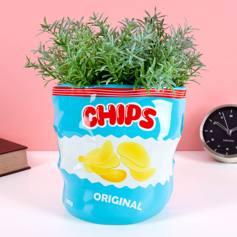 Chipszak bloempot