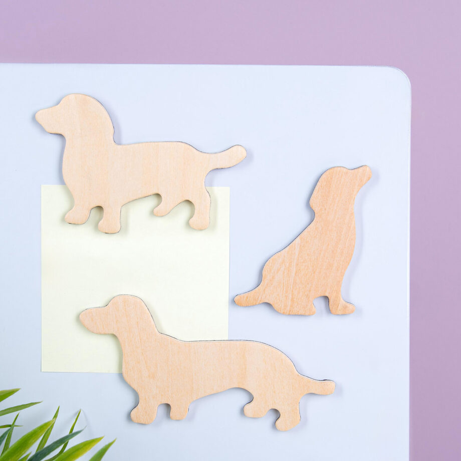 Houten dierenmagneten (set van 3)