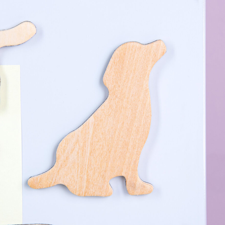 Houten dierenmagneten (set van 3)